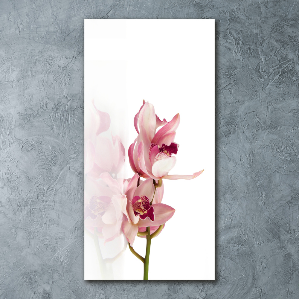 Print on acrylic Pink orchid