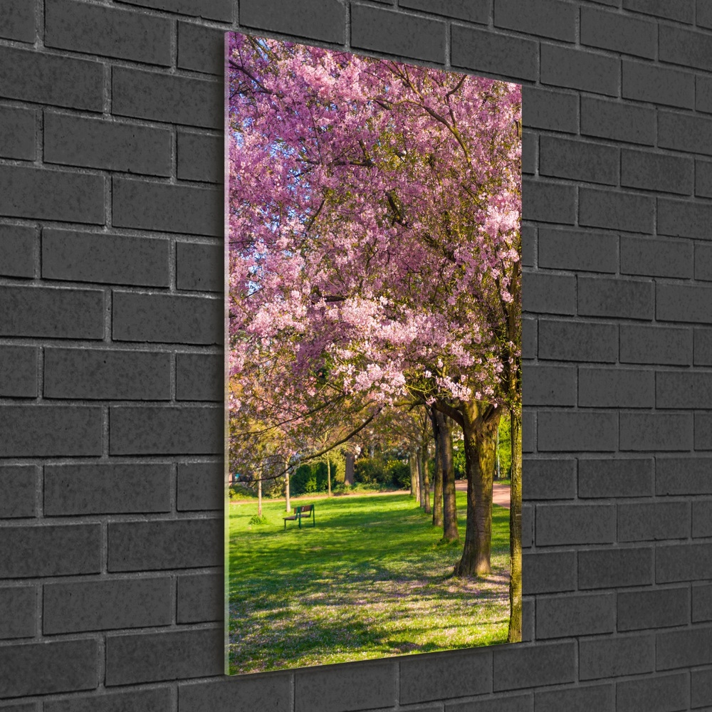 Acrylic wall art Cherry trees