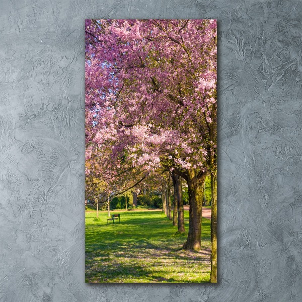 Acrylic wall art Cherry trees