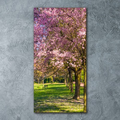 Acrylic wall art Cherry trees