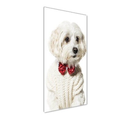 Wall art acrylic Maltese in a bow tie