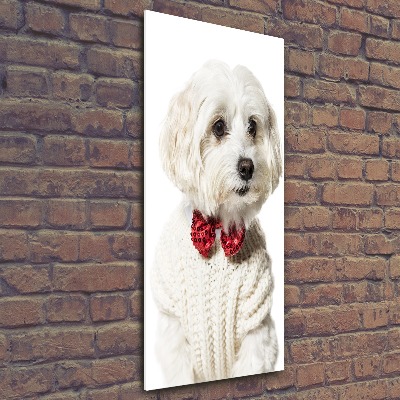 Wall art acrylic Maltese in a bow tie