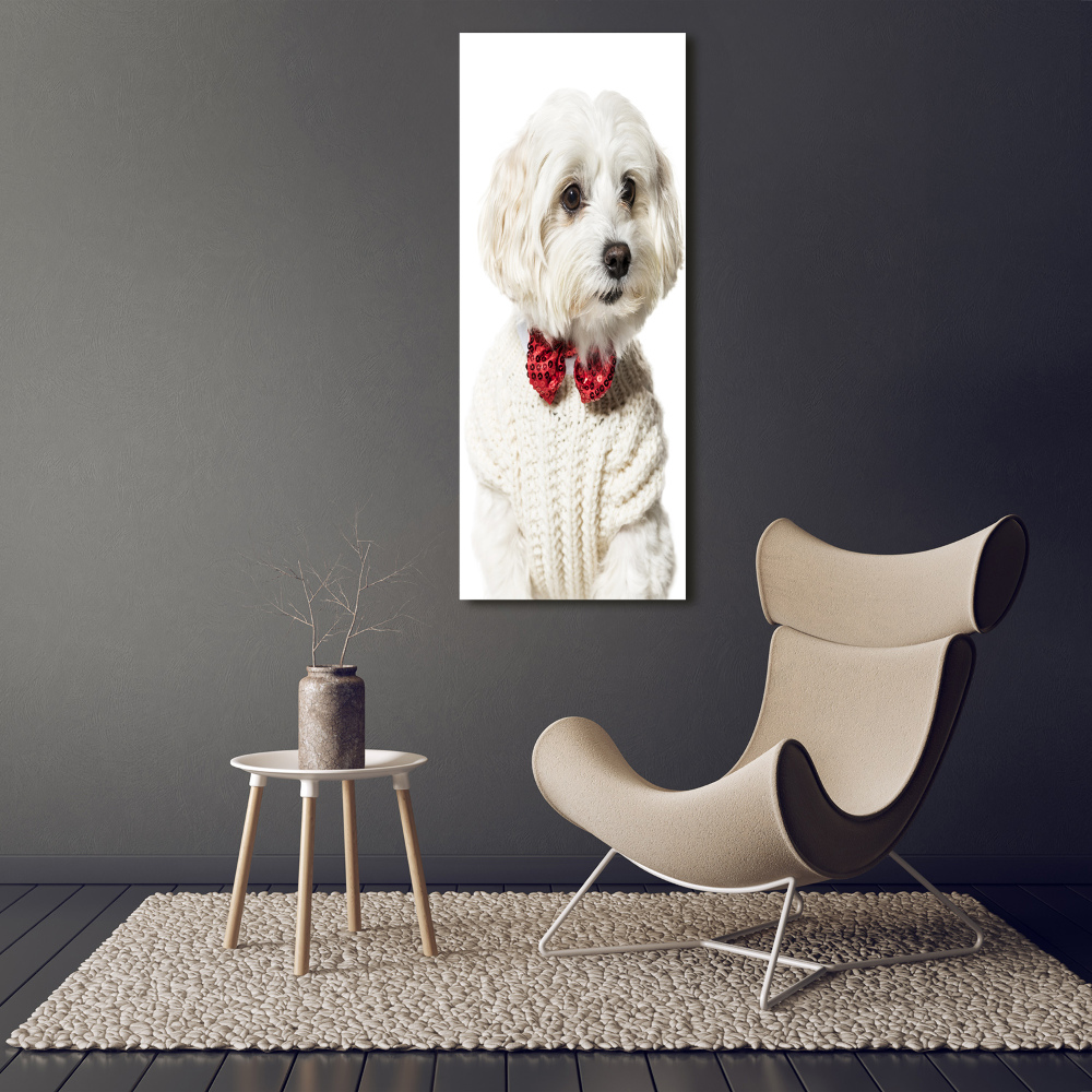 Wall art acrylic Maltese in a bow tie