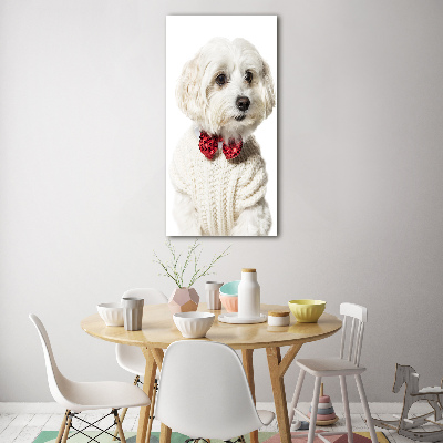 Wall art acrylic Maltese in a bow tie