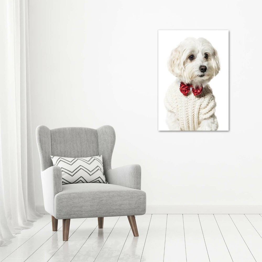 Wall art acrylic Maltese in a bow tie