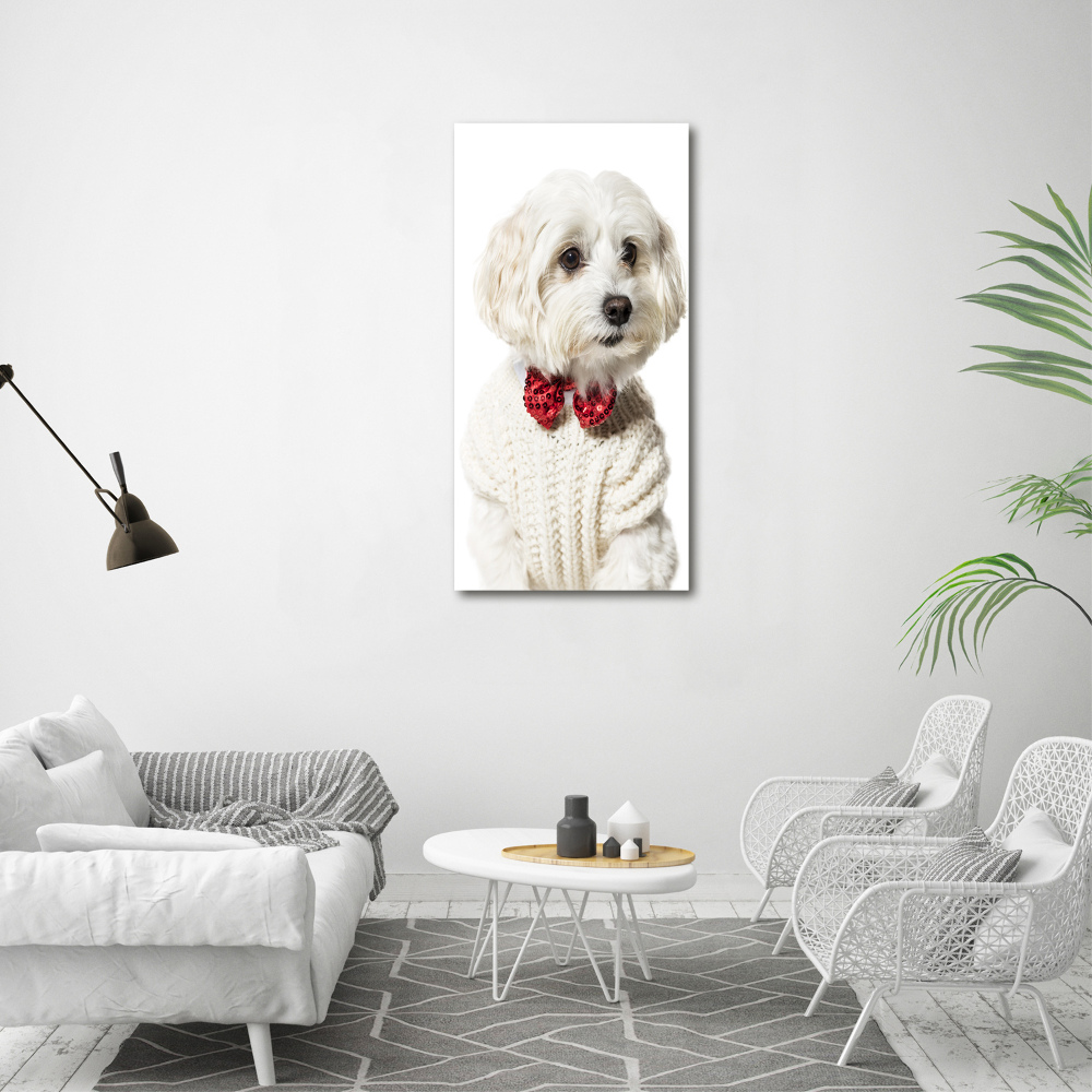 Wall art acrylic Maltese in a bow tie