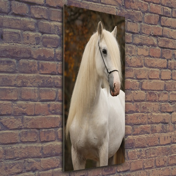 Wall art acrylic White horse