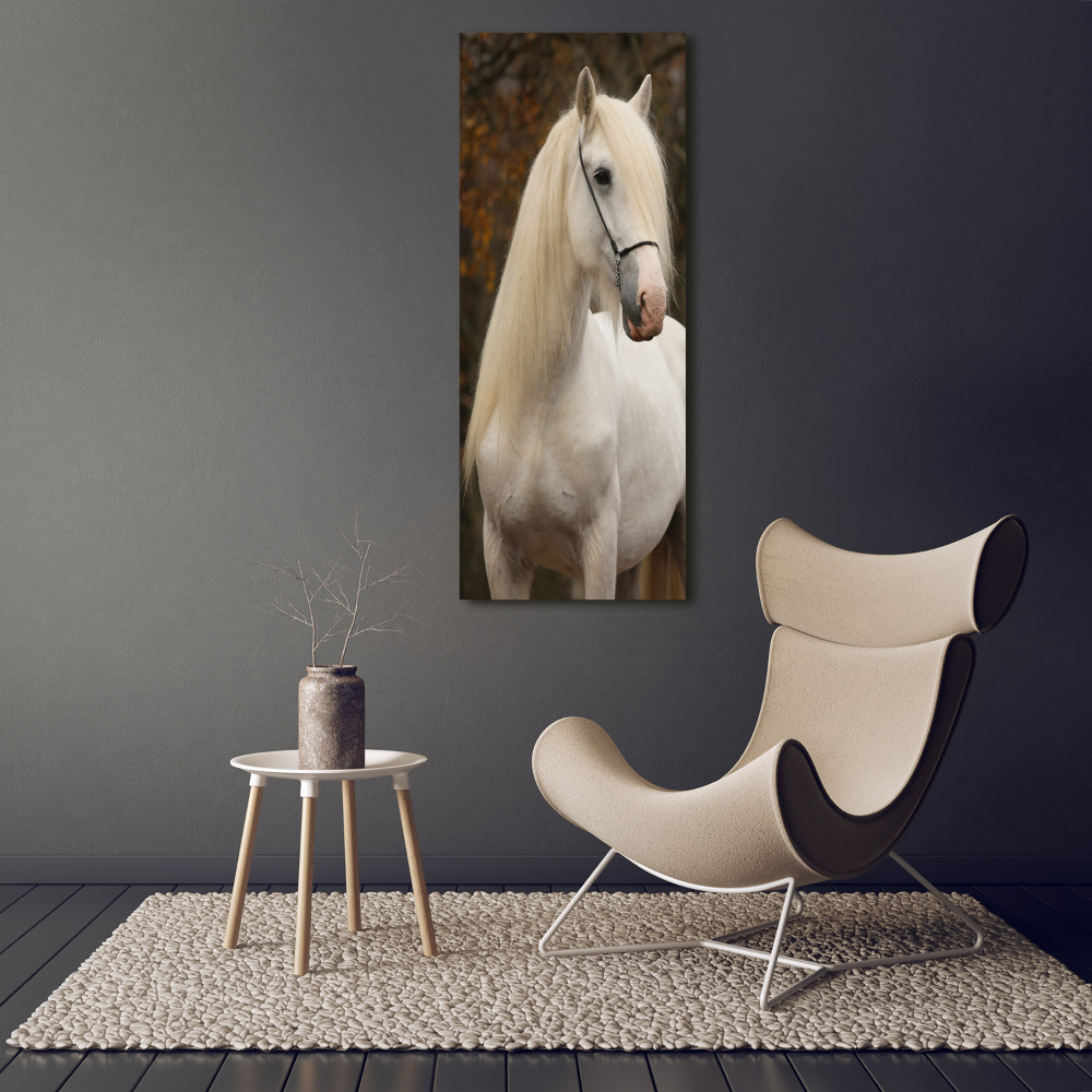 Wall art acrylic White horse