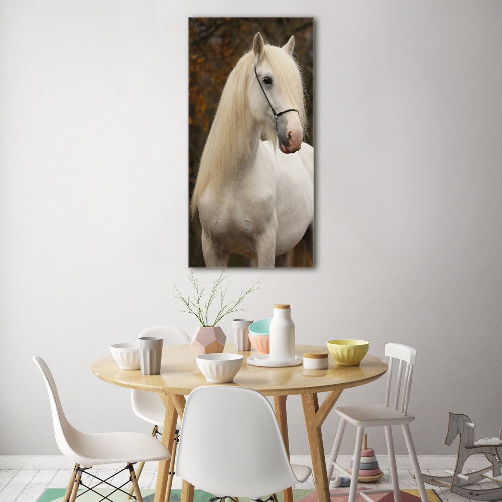 Wall art acrylic White horse