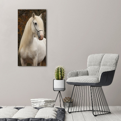 Wall art acrylic White horse