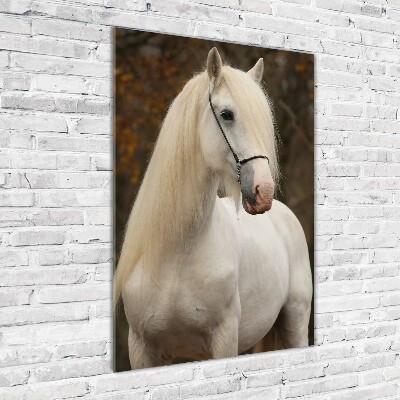 Wall art acrylic White horse