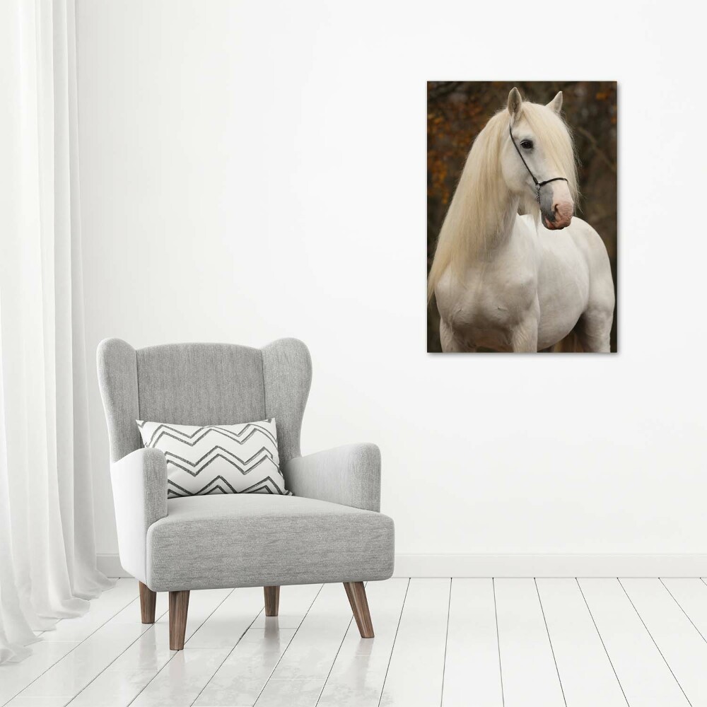 Wall art acrylic White horse