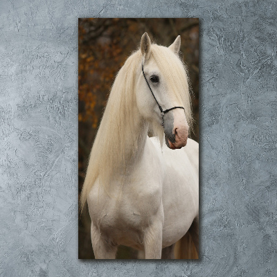 Wall art acrylic White horse