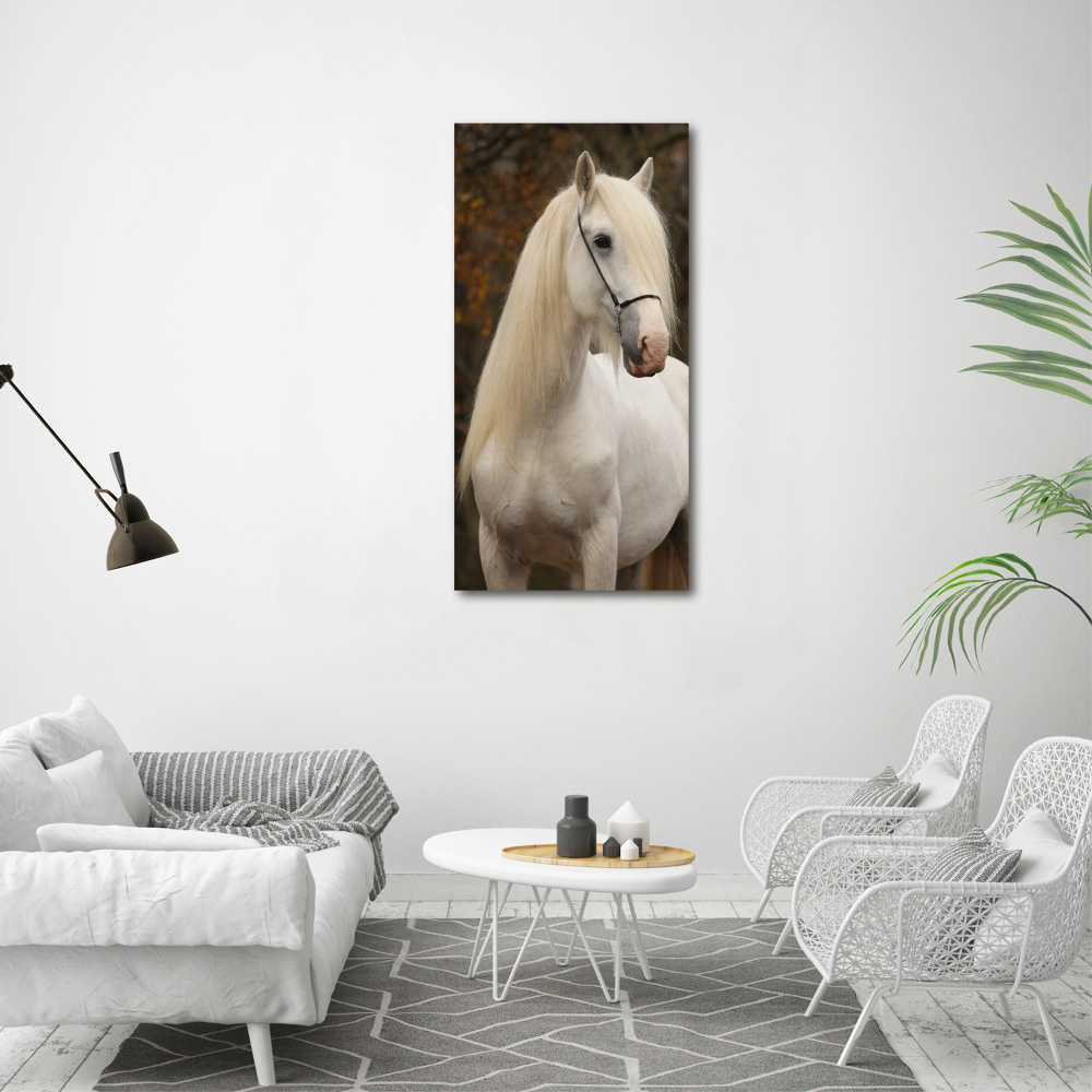 Wall art acrylic White horse