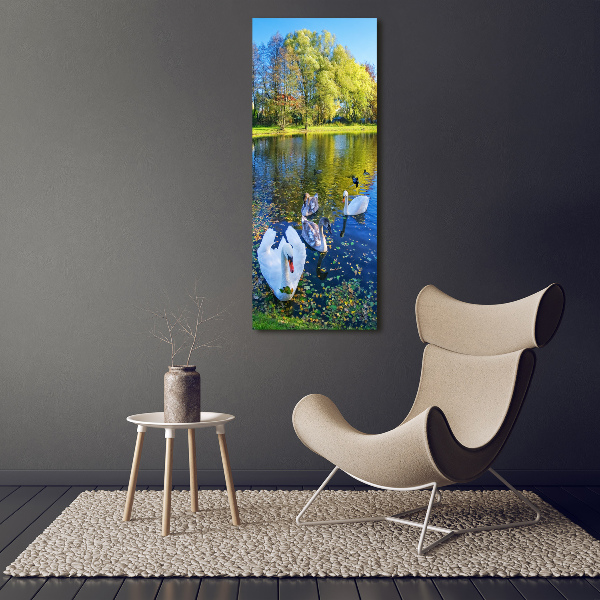 Acrylic wall art Swans on the pond