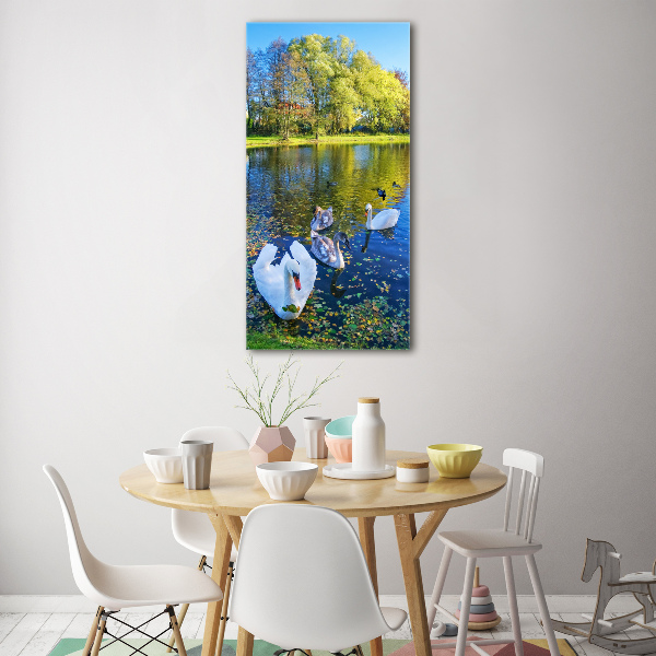 Acrylic wall art Swans on the pond