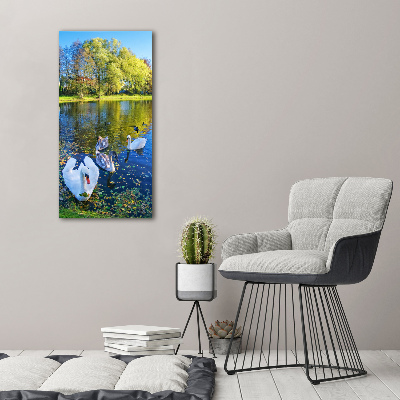 Acrylic wall art Swans on the pond