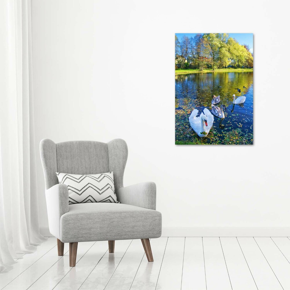 Acrylic wall art Swans on the pond