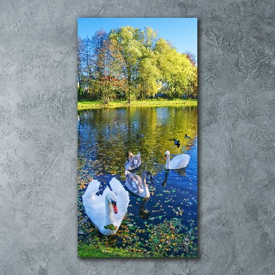 Acrylic wall art Swans on the pond