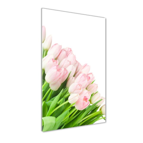 Print on acrylic Pink tulips