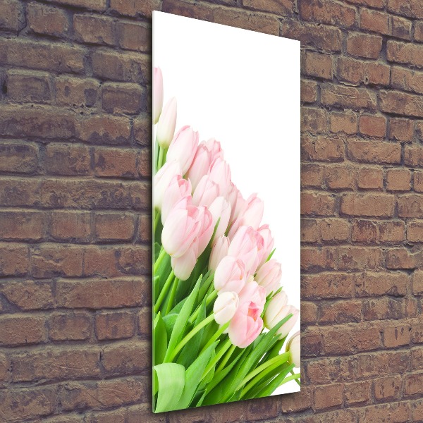 Print on acrylic Pink tulips