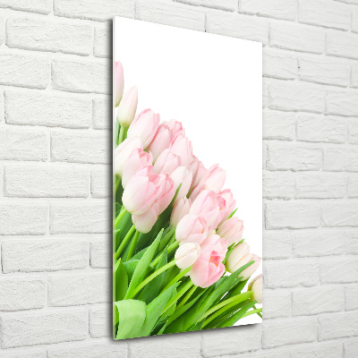 Print on acrylic Pink tulips