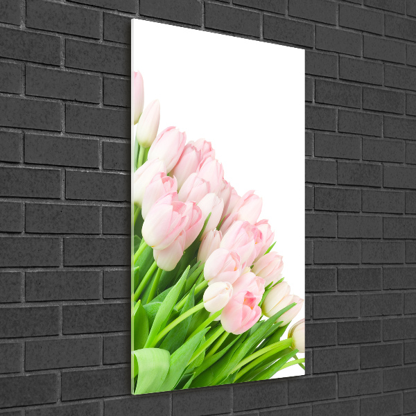 Print on acrylic Pink tulips