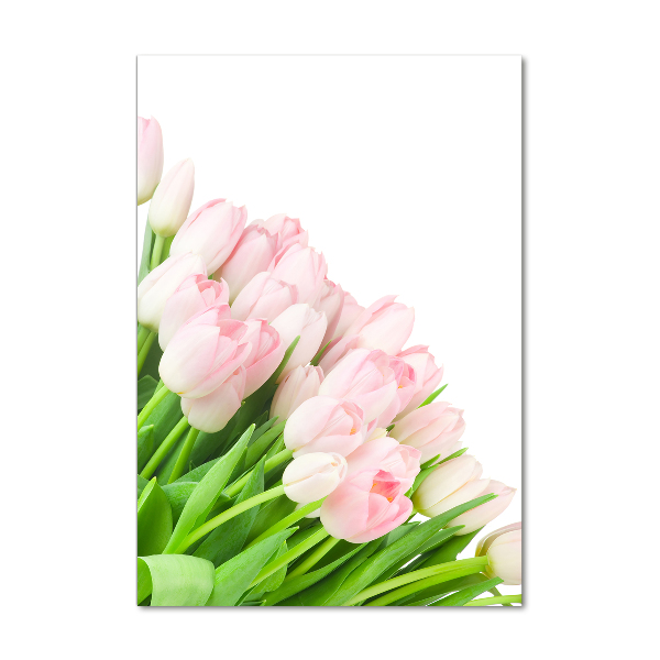 Print on acrylic Pink tulips