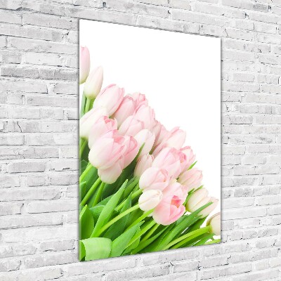 Print on acrylic Pink tulips