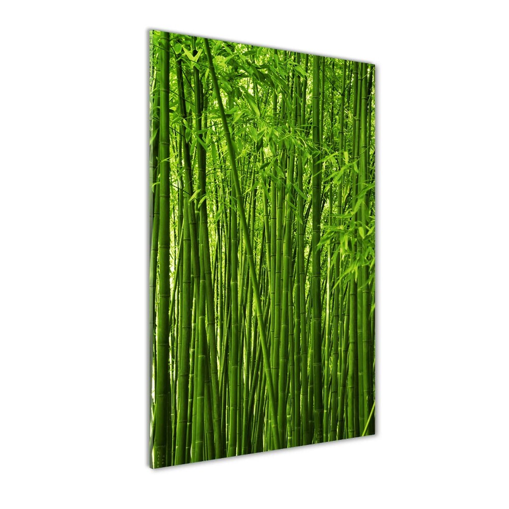 Print on acrylic Bamboo forest