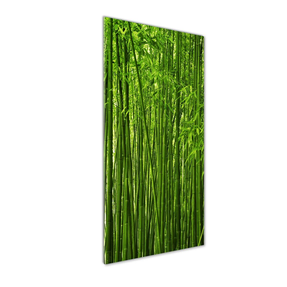 Print on acrylic Bamboo forest