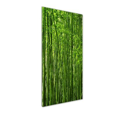 Print on acrylic Bamboo forest