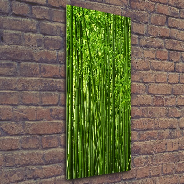 Print on acrylic Bamboo forest