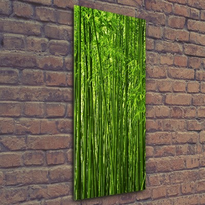 Print on acrylic Bamboo forest