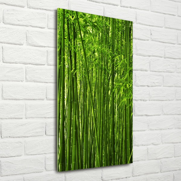 Print on acrylic Bamboo forest