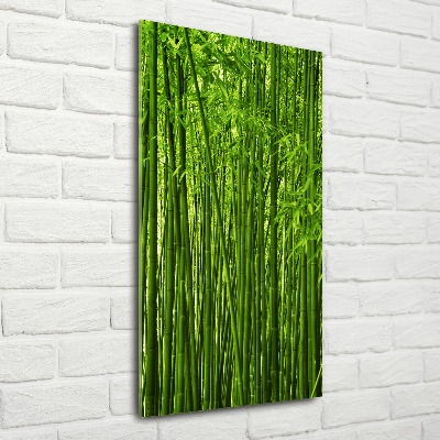 Print on acrylic Bamboo forest