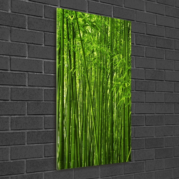 Print on acrylic Bamboo forest