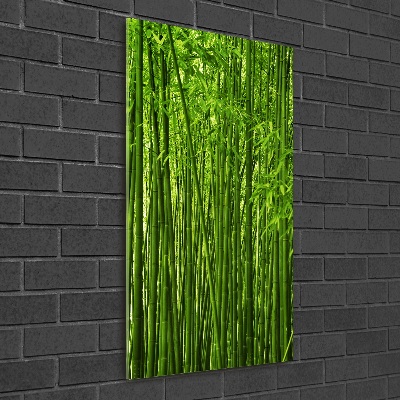 Print on acrylic Bamboo forest