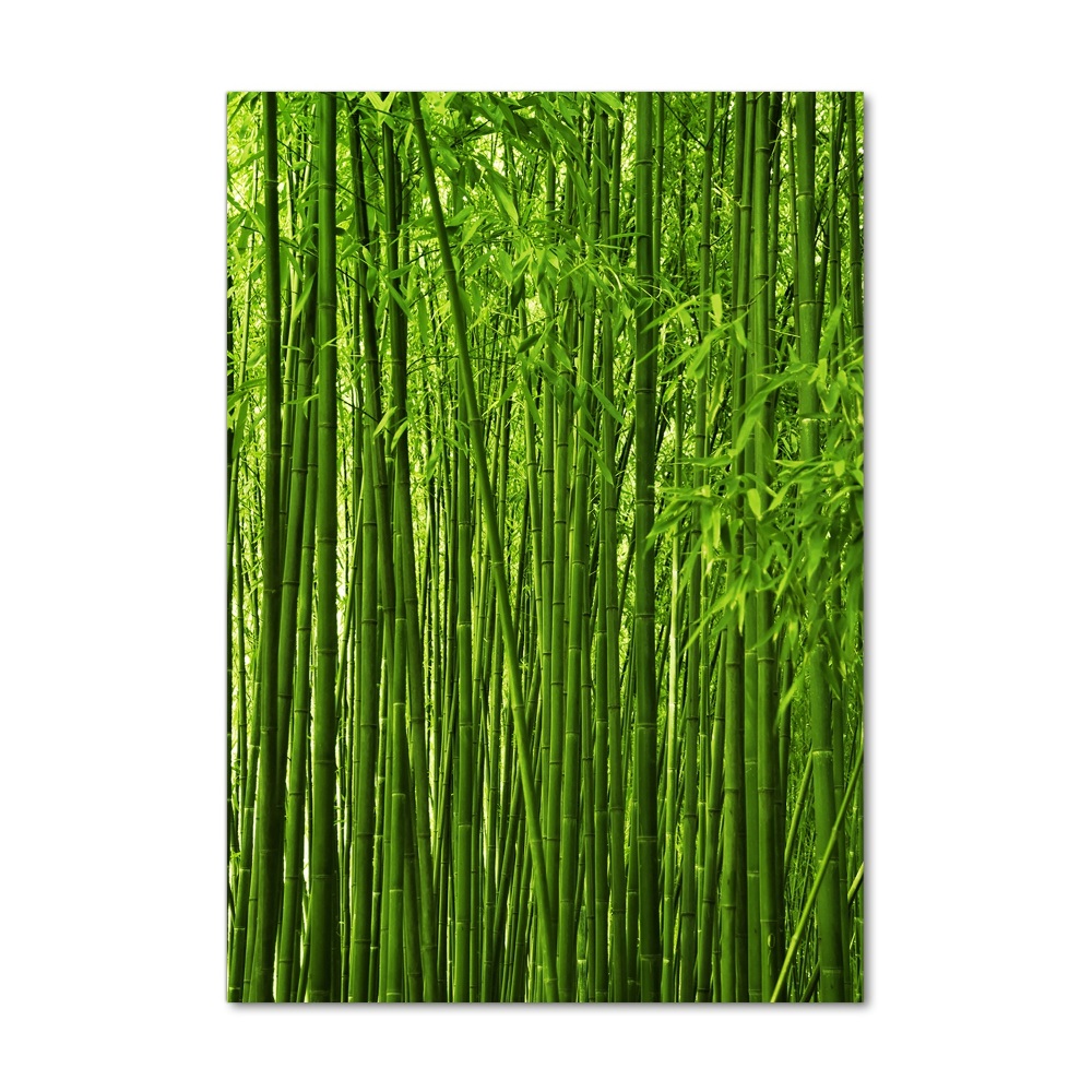 Print on acrylic Bamboo forest