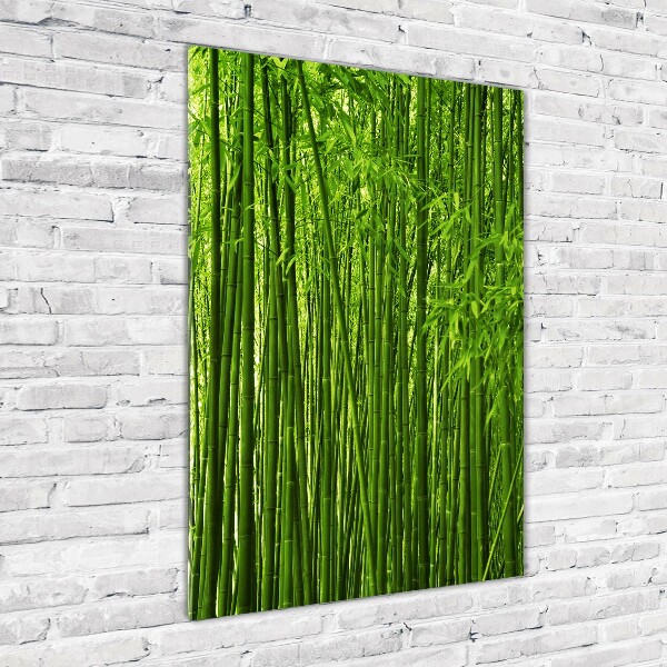 Print on acrylic Bamboo forest