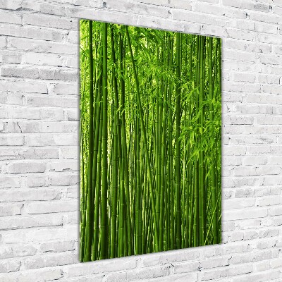 Print on acrylic Bamboo forest