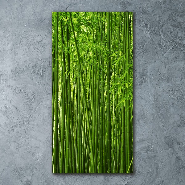 Print on acrylic Bamboo forest