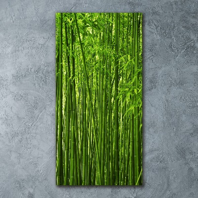 Print on acrylic Bamboo forest