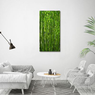 Print on acrylic Bamboo forest