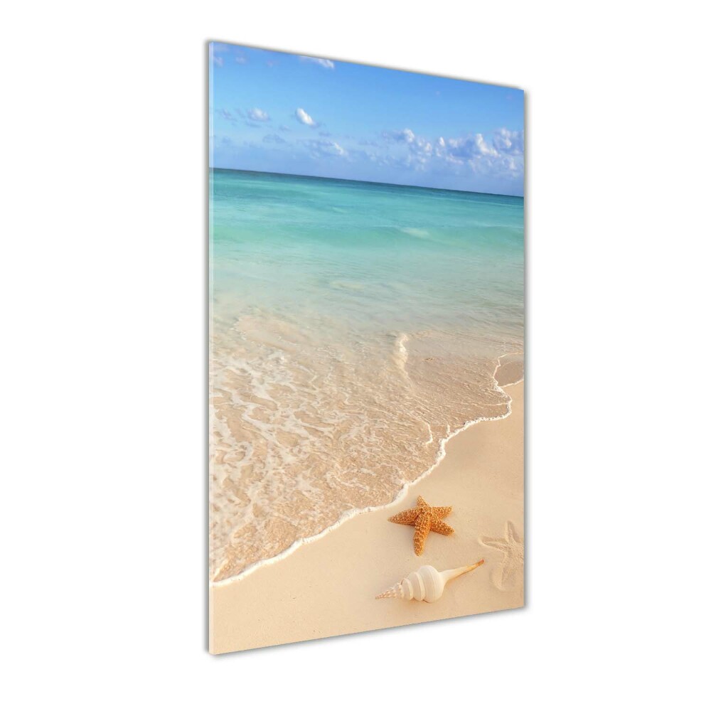 Acrylic wall art Starfish