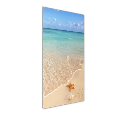 Acrylic wall art Starfish