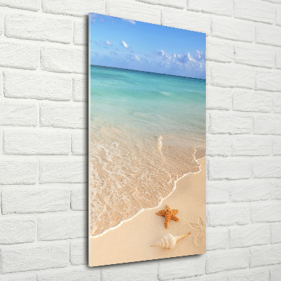 Acrylic wall art Starfish