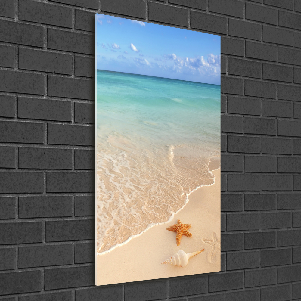 Acrylic wall art Starfish