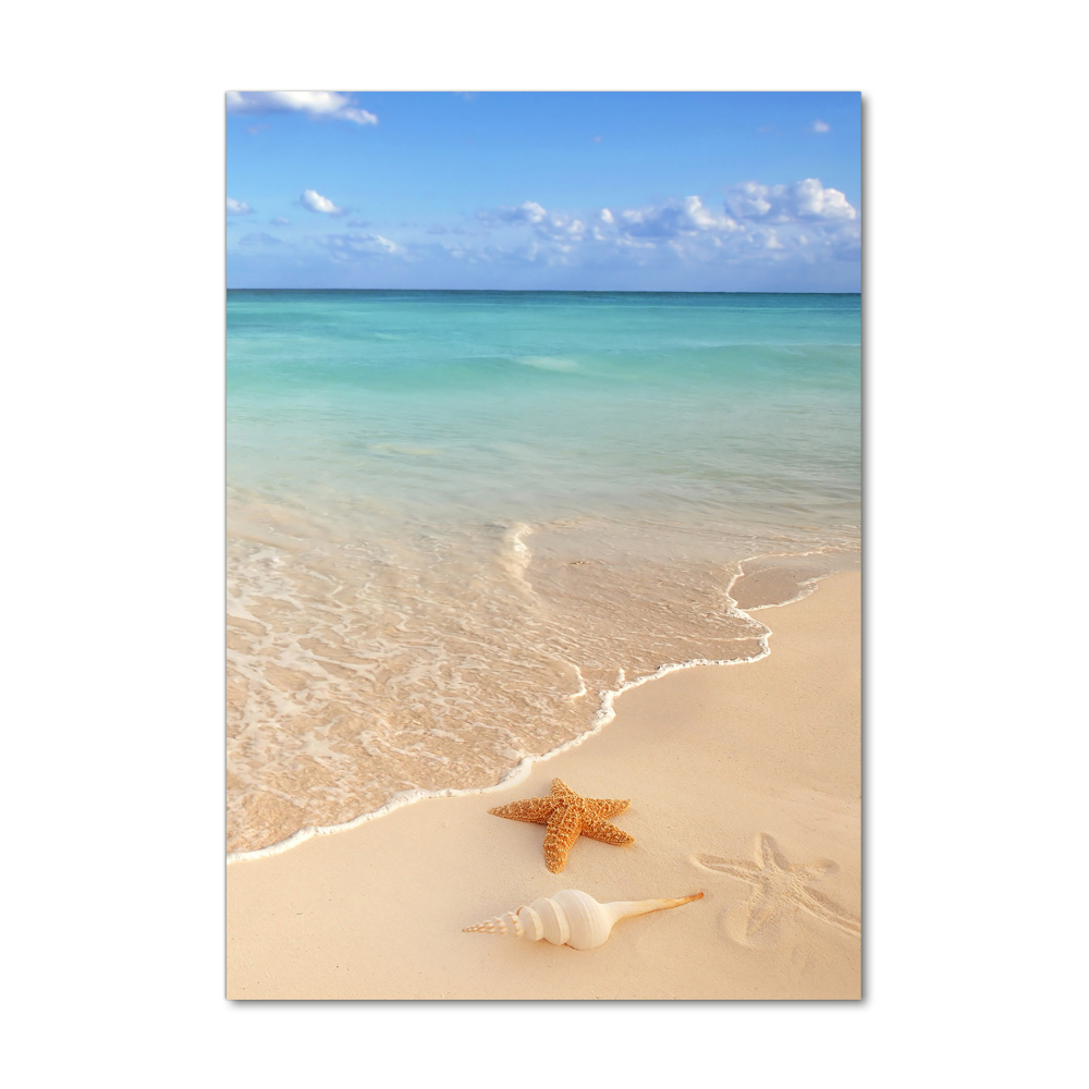 Acrylic wall art Starfish