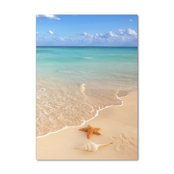 Acrylic wall art Starfish